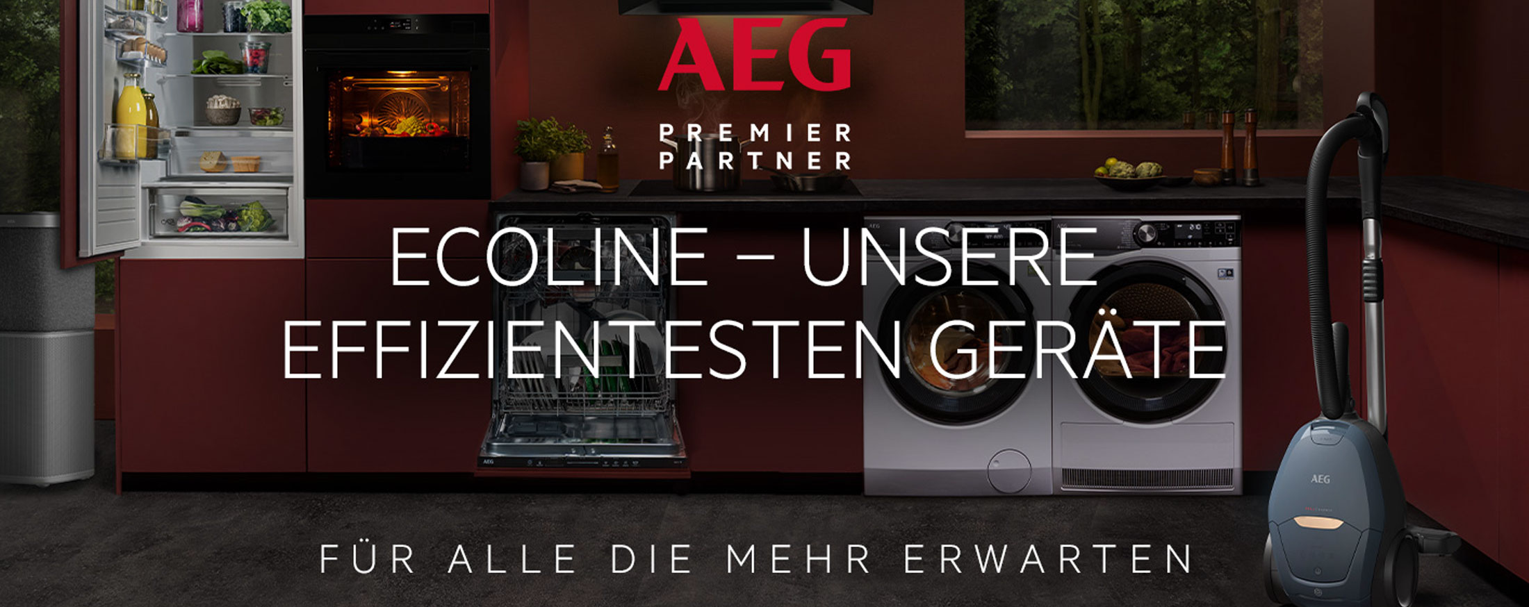 AEG EcoLine
